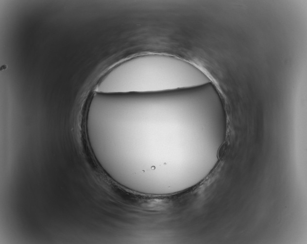 X0000090740151200707201019