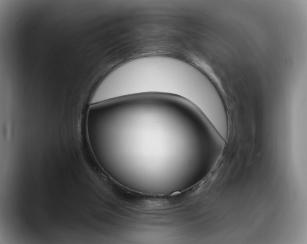 X0000090740154200707201019
