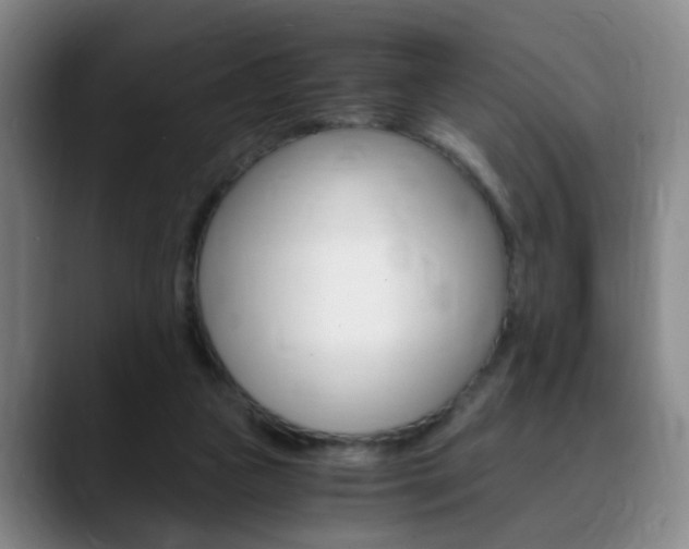 X0000090740161200707201020