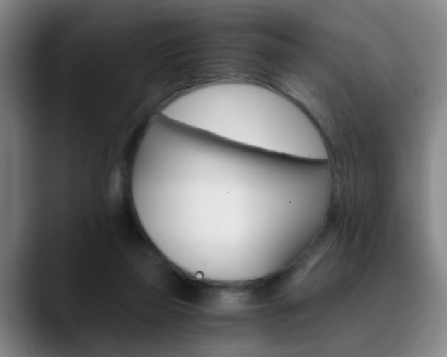 X0000090740165200707201020
