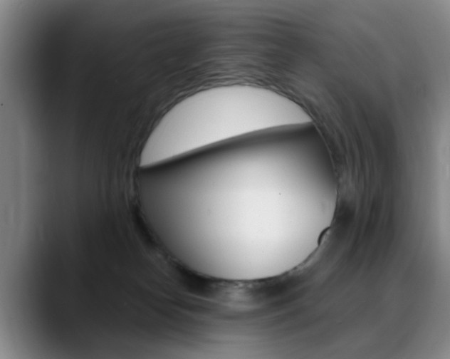 X0000090740182200707201020