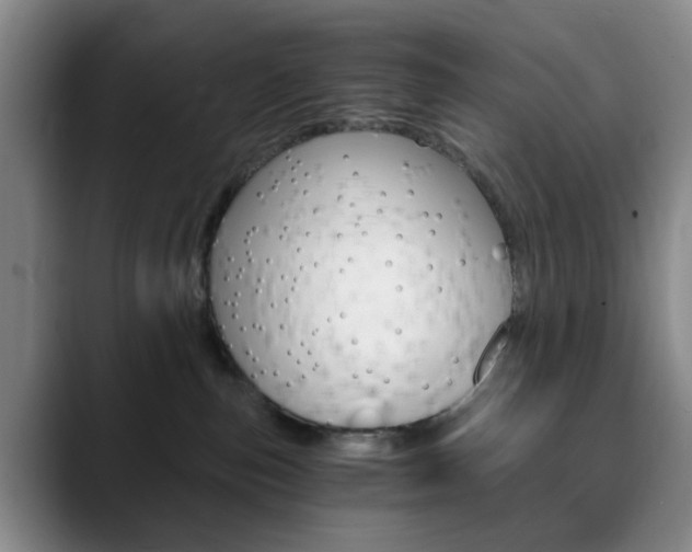 X0000090740187200707201020