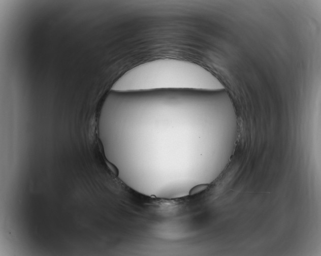 X0000090740189200707201020