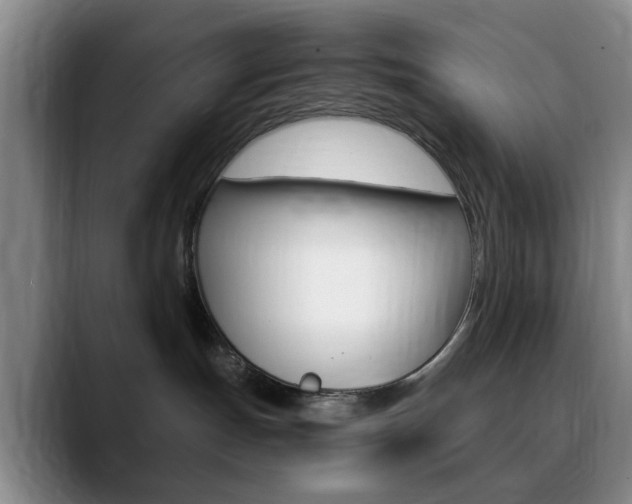 X0000090740191200707201020