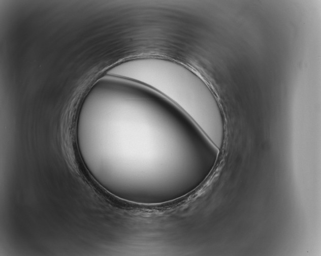 X0000090740193200707201019