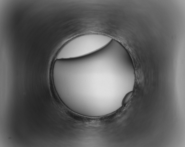 X0000090740196200707201019