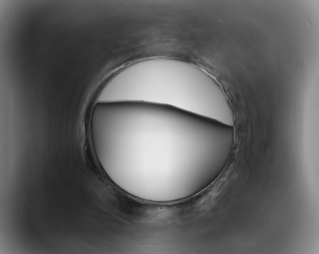 X0000090740198200707201019