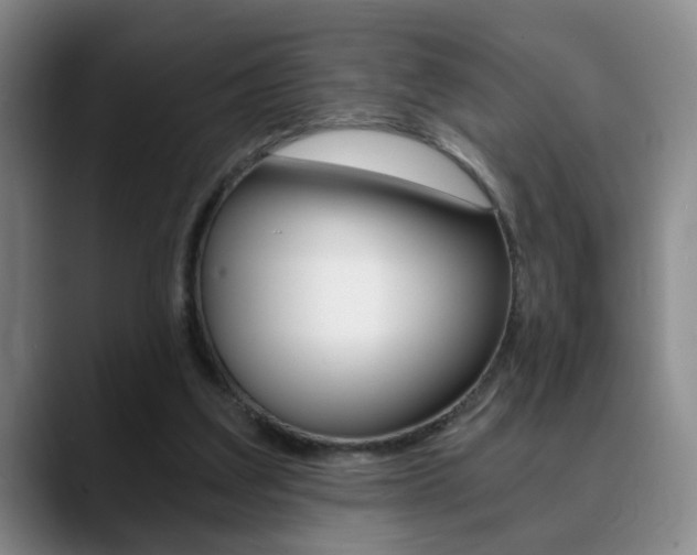 X0000090740203200707201019