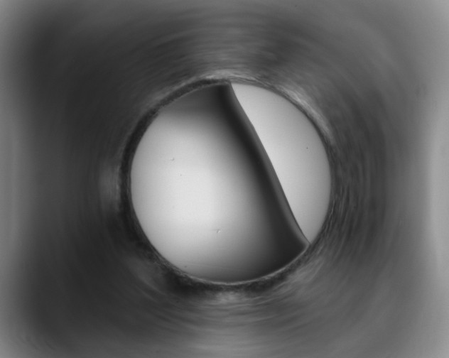 X0000090740204200707201019