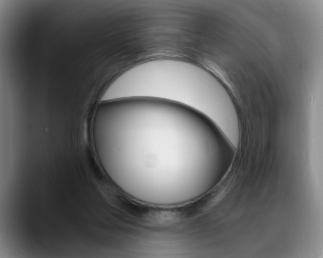 X0000090740205200707201019