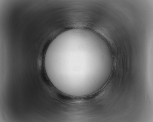 X0000090740206200707201019