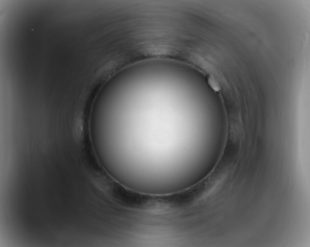 X0000090740207200707201019