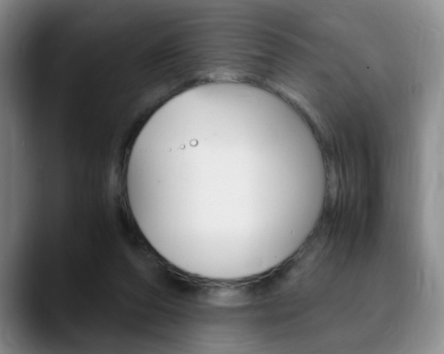 X0000090740208200707201019