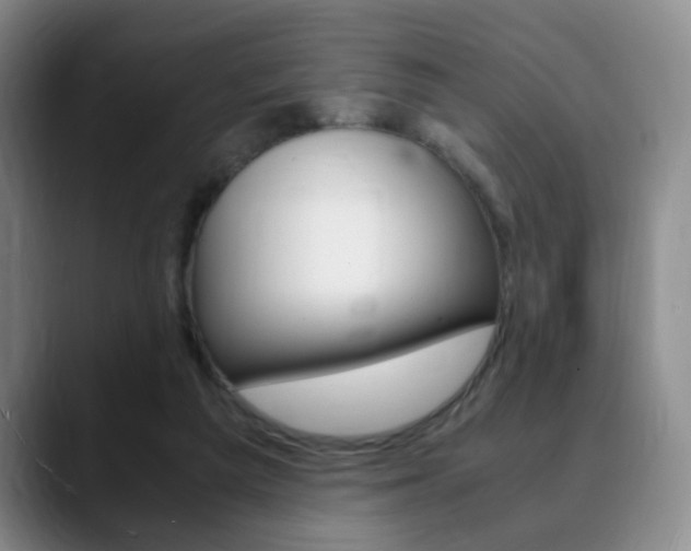 X0000090740209200707201019