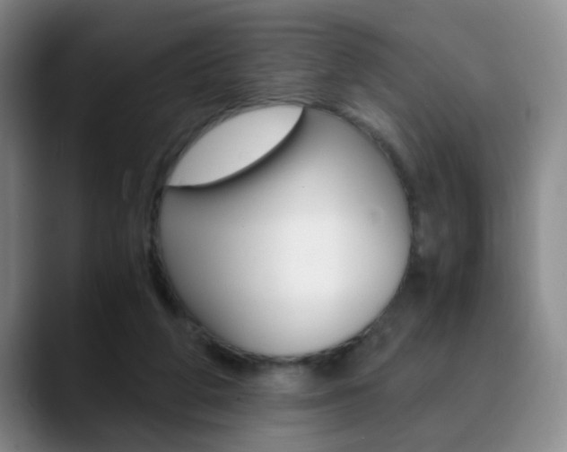 X0000090740210200707201019