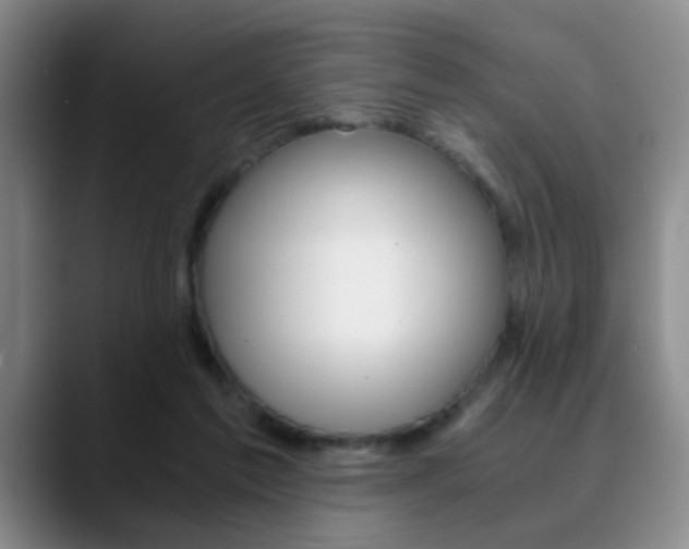 X0000090740213200707201019