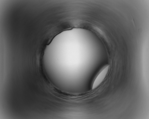X0000090740217200707201019