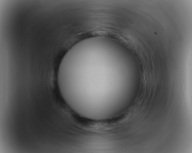 X0000090740223200707201019
