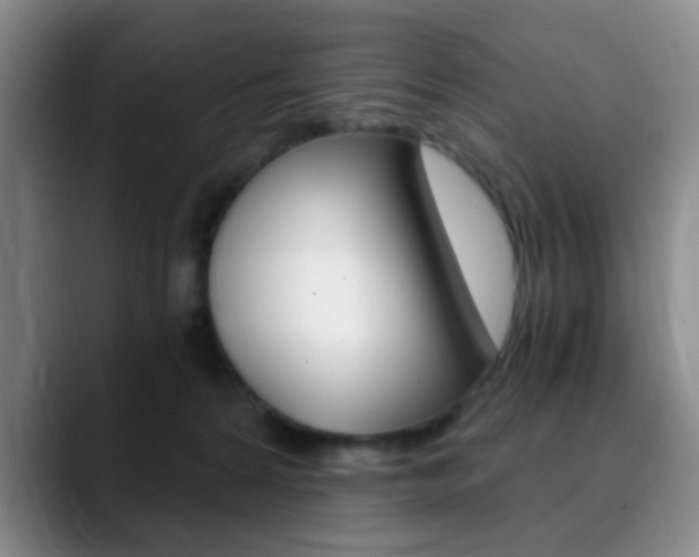 X0000090740224200707201019