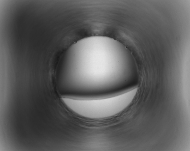 X0000090740225200707201019