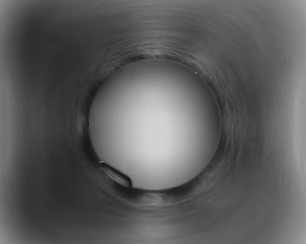 X0000090740227200707201019