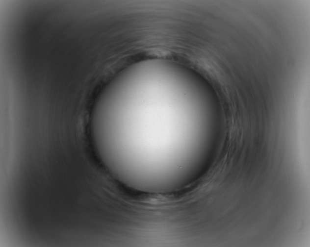 X0000090740229200707201019