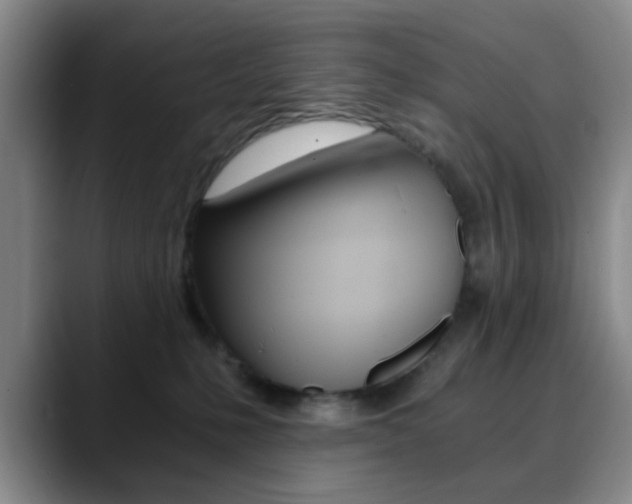 X0000090740231200707201019