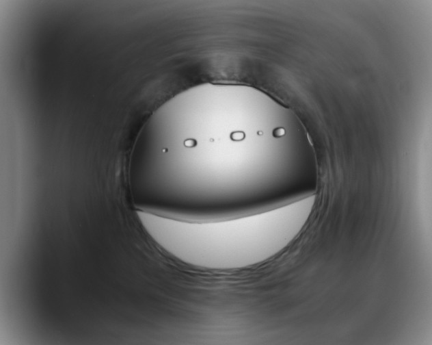 X0000090740233200707201019