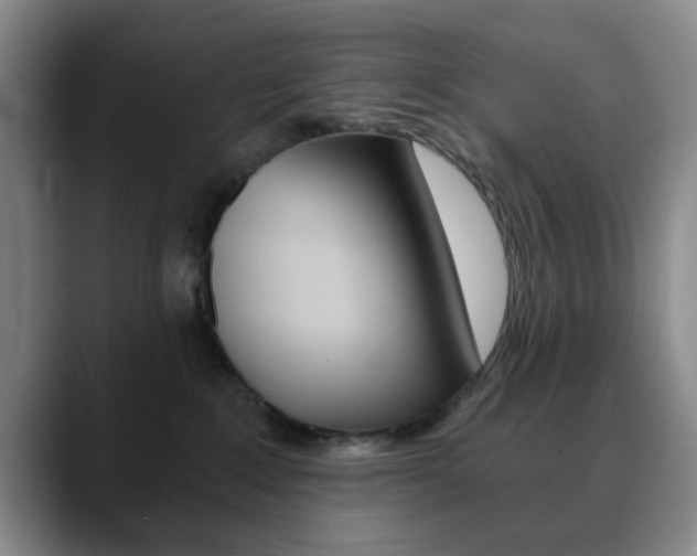 X0000090740235200707201019