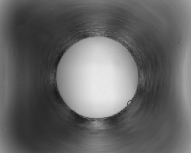 X0000090740236200707201019