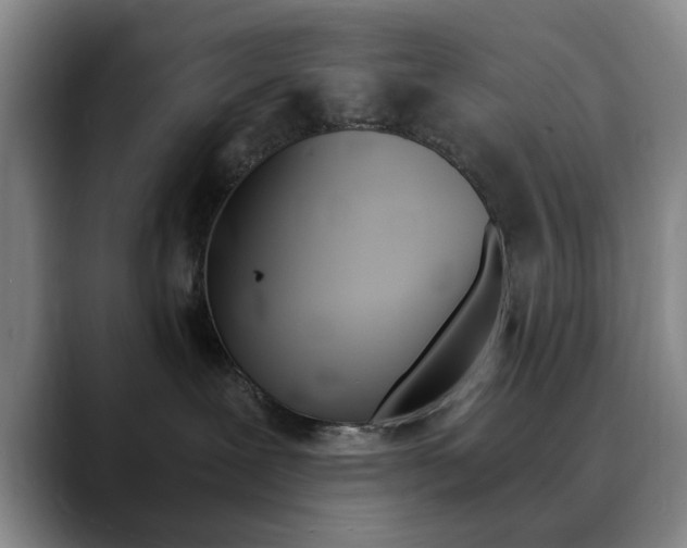 X0000090740239200707201019