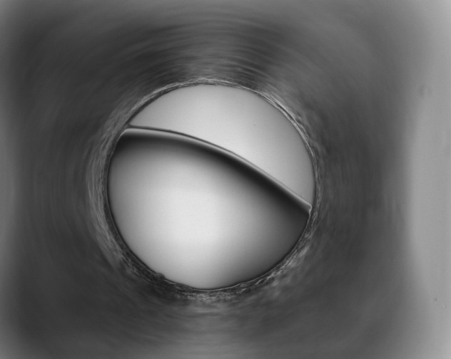 X0000090740241200707201018