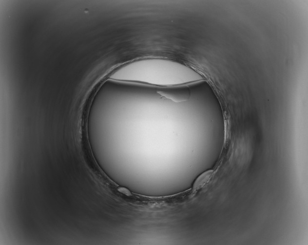 X0000090740243200707201018