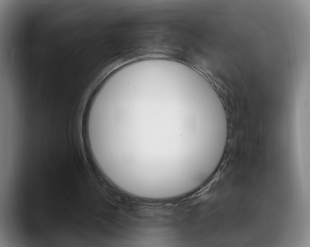 X0000090740244200707201018