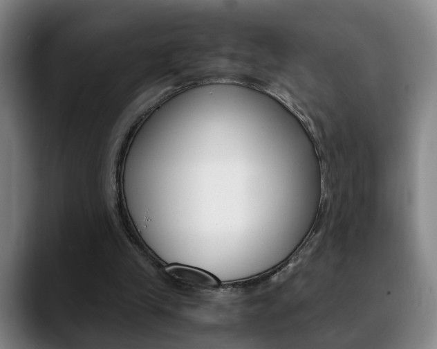 X0000090740245200707201018