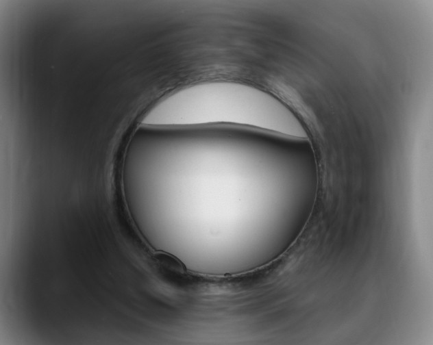 X0000090740250200707201018