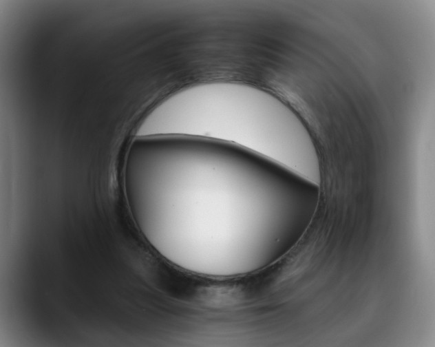 X0000090740251200707201018