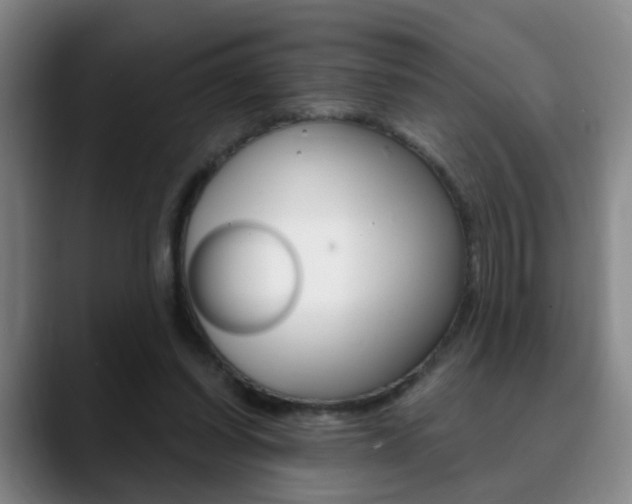 X0000090740254200707201018
