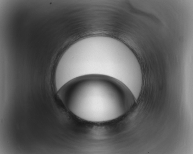 X0000090740256200707201018