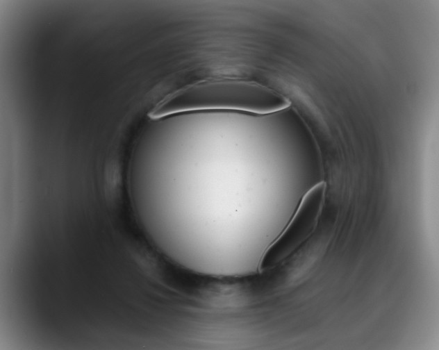 X0000090740260200707201018