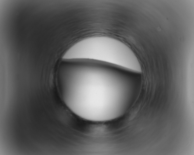 X0000090740266200707201019