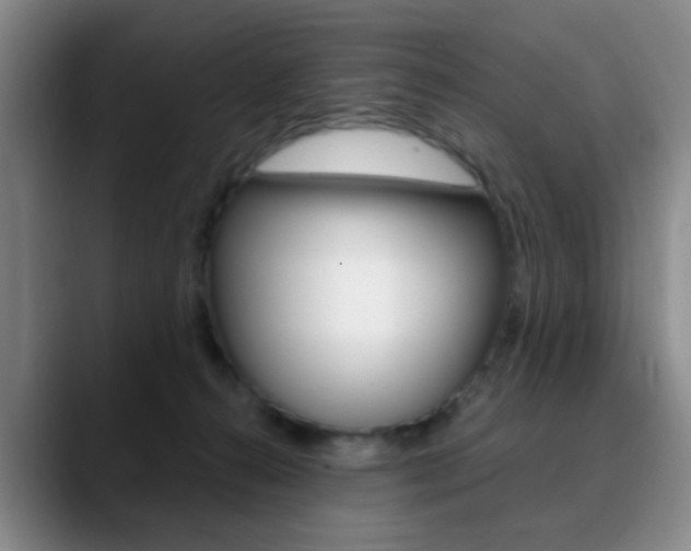 X0000090740272200707201019
