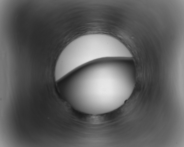 X0000090740277200707201019