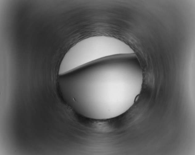 X0000090740283200707201019