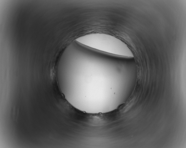 X0000090740285200707201019