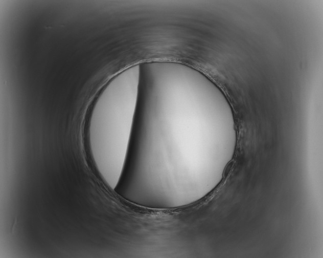 X0000090740290200707201018