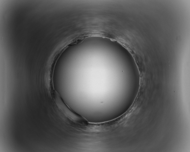 X0000090740293200707201018