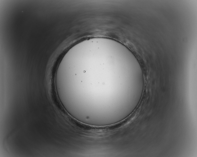 X0000090740295200707201018