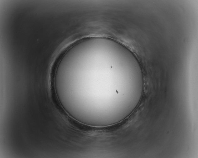 X0000090740296200707201018