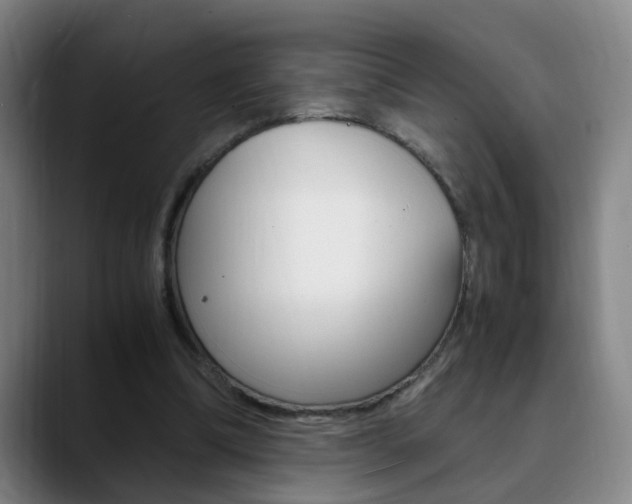 X0000090740298200707201018